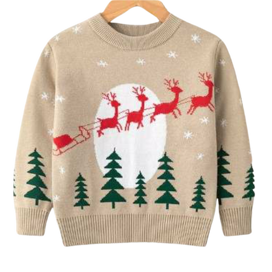 Christmas Sweater - Here comes santa